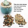 Mix Horticultural Lava Rock Pebbles Pumice Potting Soil Amendment Succulent Cactus Bonsai Gritty Rock Decorative Gravel Plant Drainage Volcanic Rock for Terrarium Fairy Gardening Top Dressing 2.2lb