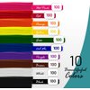 100 Pc. Pipe Cleaner 10 Assorted Colors Chenille Stems, Pipe Cleaners Craft, Fuzzy Sticks Great Craft Supplies DIY Art & Craft Projects| 6”