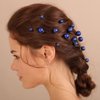 Xerling 20Pcs Pearl Hair Pins Bride Wedding Hair Pieces Blue Hair Accessories for Girls Boho Women Headpiece (Blue)