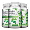 GreeNatr Pure Moringa Oleifera Leaf Extract Veggie Capsules 1000 mg. Natural Herbal Supplement. Energy, Mood, Memory and Focus Support. Premium Green Superfood (3 Bottles)