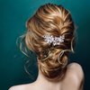 PAGOW 2Pcs Crystal Flower Bridal Hair Clips, Silver Bride Wedding Hair Accessories Hair Pins, Rhinestone Flower Wedding Headpiece for Brides Women Girls