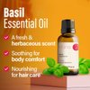 H’ana Basil Essential Oil for Diffuser - 100% Natural Basil Oil Essential Oil for Hair, Herbaceous & Refreshing Aroma (1 fl oz)