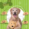 MYBALLDOG Low to MILD Chewers 2 in 1 Dog Puzzle Toys Stuffed Plush Puppy Toys, Crinkle & Squeak Dog Toy Ball for Dog Anxiety Relief, Big Dog Toys 3.5" Ball, Puppy Chew Toys (Labrador)