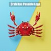 Neomoner Ocean Animal Building Blocks, Deep Sea Creatures Building Toy Set for Kids Boy Girl Crab(242PCS)