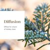 Christmas Spirit Essential Oil Blend by Young Living - 5ml Bottle for Holiday Cheer - Joyful and Festive Aroma - 100% Pure, Therapeutic-Grade Essential Oil