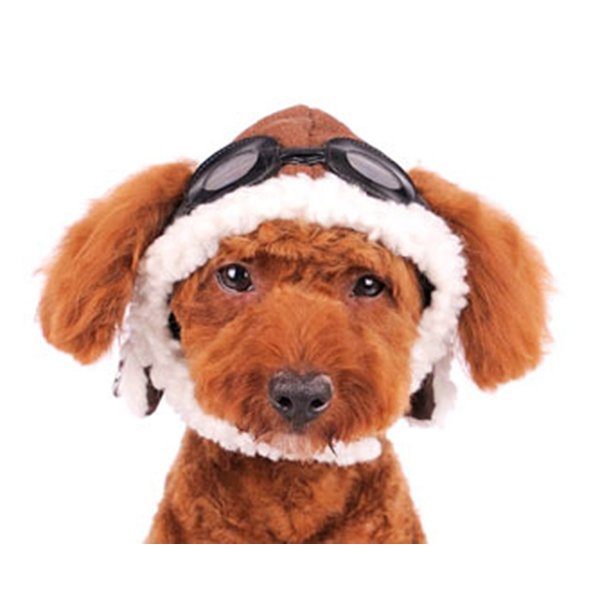 Dogo "Aviator" Hat For Cat Dog Puppy Pet (XS)