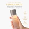 Blithe Asian Skincare 5 Roots Clear Essence Lotion for Dry Skin - Hydrating Face Essence Rice Water, Damage Barrier Repair, Amino Acids, Antioxidants, Korean Combination Face Moisturizer, 5 Oz