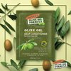Palmers Olive Oil Formula Deep Conditioner Pk 2.1 Ounce(12 Pieces) (62ml)