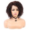 BEAUTY FLAG Afro Curly Lace Front Wigs Brown Synthetic Heat Resistant Fiber Short Curly Wig for Black Women