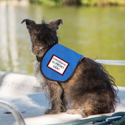 Emotional Support Dog Vest - Complete with Two Patches (11-20 Pounds, Raspberry) - Includes 5 Federal Law ESA Handout Cards
