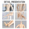 YMY23 25 Male Doll Body Compatible with Ob22 OB24 GSC BJD Doll Head DIY Drawing Mannequin Action Figure Models(Normal White-8.66 in)