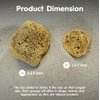 Naroa Natural Hermit Crab Sponges - Pack of 5 | Unbleached Sea Sponge for Water Drinking Safety | Aquarium Decor Balance Tank Humidity | Crab Supplies Accessories