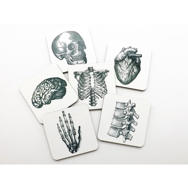 Human Anatomy Coasters 3.75 inch square cork back skull brain hand anatomical heart medical