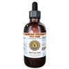 HawaiiPharm Uva Ursi Liquid Extract, Organic Uva Ursi (Arctostaphylos Uva-Ursi) Tincture, Herbal Supplement, Made in USA, 4 fl.oz