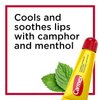 Carmex - Lip Moisturizing Tube, Original Balm - 0.35 Oz (3 each) Body Care/Beauty Care/Bodycare/BeautyCare...