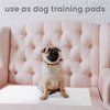 Inspire Washable and Reusable Incontinence Chair or Bed Pads | 3 Pack Waterproof Mattress Pad Chucks Pads | Reusable Bed Pads Washable Waterproof Chux Pads | Pee Pads for Adults Use As Pet Pad
