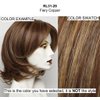 Bundle - 5 items: Embrace by Raquel Welch HEAT FRIENDLY Wig, Christy's Wigs Q & A Booklet, Wig Shampoo, Wig Cap & Wide Tooth Comb COLOR: RL3129