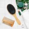 OWIIZI Boar Bristle Hair Brush for Women & Mens Natural Boar Bristle Brush Bamboo Detangler Brush and Comb Set for Long Curly Fine Hair(Set A)