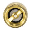 EZ-FLO Brass In-Line Check Valve, 1 Inch IPS, Stainless Steel Spring, 20405LF