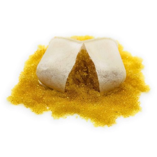 Blendin Replacement Water Filter Holder Handle with two ION Exchange Resin Filters,Compatible with Breville Espresso Coffee Makers