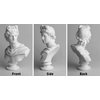 Garwor Apollo Bust Greek and Roman Mythology God of Sunlight 6 inch Resin Head Bust Sculpture Figurine Home Decor