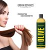 UrbanBotanics® Pure Cold Pressed Olive Oil For Hair and Skin, 250ml