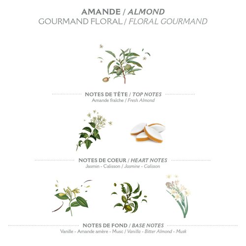 Panier des Sens Body Lotion, Moisturizer - Made in France 97% natural - 8.45 Floz/250 ml (Almond)