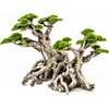 Novelsite Fish Tank Decor- Bonsai Trees with Faux Moss- Aquarium Rocks Aquascaping- Made of Sandstone, Goldfish Betta Fish Tank Decorations Hides Accessories