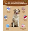 Mushroom Supplement for Dogs - Lipoma for Dogs - 9 Organic Mushroom with Turkey Tail, Reishi, Lions Mane - Digestive, Cellular, Immune Health Support - Dog Lumps and Bumps Treatment - 100 Scoops