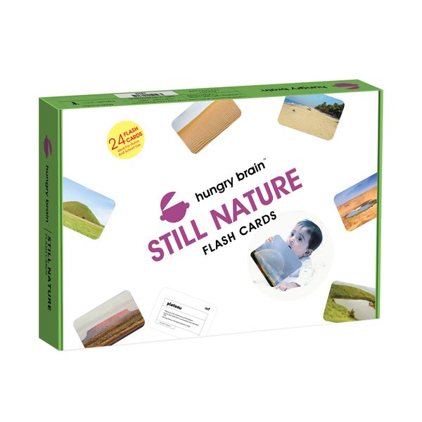 hungry brain Flash Cards for Toddlers, 24 Still Nature Flashcards, Double-Sided, Montessori, Educational, Kindergarten - Preschool Learning Activities, Gifts for Kids, 1, 2, 3, 4 Years Babies
