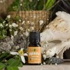 Neroli Essence Oil, Citrus Aurantium Essential Oil, Bright Refreshing Citrus Scent, 100% Natural Neroli Essence Oil, 10ml 0.33 oz, Unique Oil
