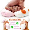 Squishy Dog & Splash Piggy Stress Balls for Kids Squishy Ball Fidget Toys (2-Pack) Sensory Stress Toys Squish Dough Ball Stress Relief Toy Autism Sensory Toys for Autistic Children Party Favors