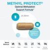 XYMOGEN Methyl Protect - Optimal Methylation Formula with Methyl Folate, Vitamin B12 (Methylcobalamin b12), Riboflavin + B6 Vitamins - Cognitive, Homocysteine + Heart Health Supplements (120 Capsules)