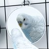 FlidRunest 2PCS Bird Mirror Toy for Cage, 10X Bird Parrot Interactive Playing Cage Toy with Hook, Parrot Toy Bird Cage Mirror for Cockatiel, Parakeets, Lovebirds, Finch, Canaries, Budgie