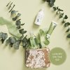 Thymes Travel Set and Beauty Bag - Contains Body Wash, Body Lotion & Hand Cream - Eucalyptus