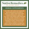 Native Remedies Prostate Dr. - All Natural Herbal Supplement Supports Prostate Gland Health and Urinary Tract Functioning - 59 mL
