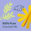 Plant Therapy Worry Free Essential Oil Blend 30 mL (1 oz) 100% Pure, Undiluted, Natural Aromatherapy, Therapeutic Grade