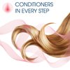 Clairol Nice N Easy #7 Dark Blonde Hair Color