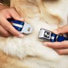 Dog Collar Seatbelt Buckle Colorado Trout Flag Snowy Mountains Blues White Red Yellow 9 to 15 Inches 1.0 Inch Wide
