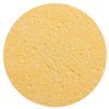 ForPro Compressed Cellulose Sponge - Round Face and Body Sponge - Natural Yellow - 2.75’’ - 12-Count