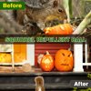 Squirrel Repellent, Peppermint Oil to Repel Squirrel, Mouse,Mice, Squirrel Repellent for Cars, Garden, Indoor/Outdoor Use (1 Count (Pack of 10))