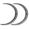 LANGHONG 2PCS Moon Crescent Hairpin For Women Retro Moon Hair Stick Forks Knot Hair Styling Pins (ZNAS)