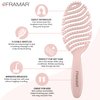 FRAMAR Vented Hair Brush For Thick Hair,Wet Hair Brushes For Women, Flex Wet Hair Brush Detangler, Hairbrush For Women, Hair Brush For Blow Drying