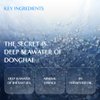 RATAPLAN Donghae deep moisturizing oil to foam cleanser, Daily Makeup Blackheads Removal 7.10 fl oz(210ml)