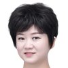 SYXLCYGG Short Black Wig Old Lady Wigs Ladies Synthetic Older White Womens Hair Wigs Fluffy, Full Free Wig Cap
