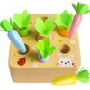 Skrtuan Wooden Toys for 1 2 3 Year Old Toddlers Baby Boys and Girls, Montessori Toy Carrot Harvest Game Shape & Sorting Matching Puzzle, Educational Developmental Birthday Gifts for Babies 6-12 Months