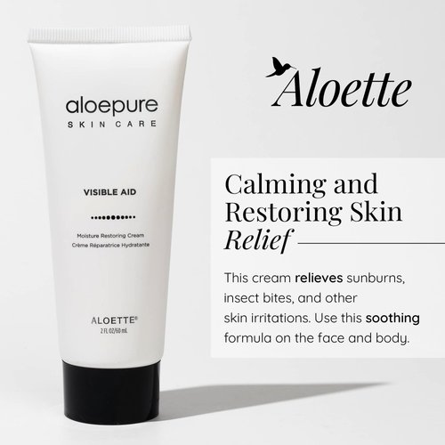 Aloette Face Moisturizer Cream - Daily Body & Facial Skin Care Products with Aloe Vera & Vitamin E - Skin Moisturizer Face Lotion Hydrates & Rejuvenates Dry to Normal Skin, Gluten Free - 2 Fl Oz