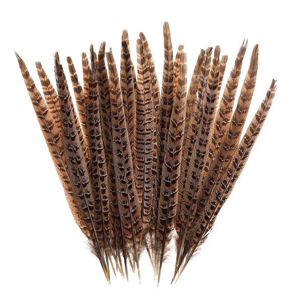 AWAYTR 20pcs Natural Pheasant Feathers - Pheasant Tail 8-11inch(21-28cm) for DIY Decoration (Female Pheasant Tail)