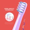 Replacement Toothbrush Heads Compatible with Colgate Hum Connected Smart Battery Toothbrush Refill Head, Purple, 12 Pack