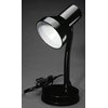 American Educational 7-1200-15 Table Top Lamp with Gooseneck, 12" Overall Height